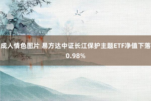 成人情色图片 易方达中证长江保护主题ETF净值下落0.98%