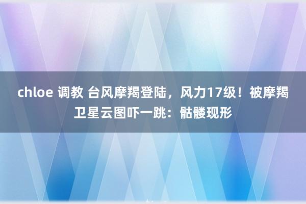 chloe 调教 台风摩羯登陆，风力17级！被摩羯卫星云图吓一跳：骷髅现形