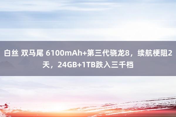 白丝 双马尾 6100mAh+第三代骁龙8，续航梗阻2天，24GB+1TB跌入三千档