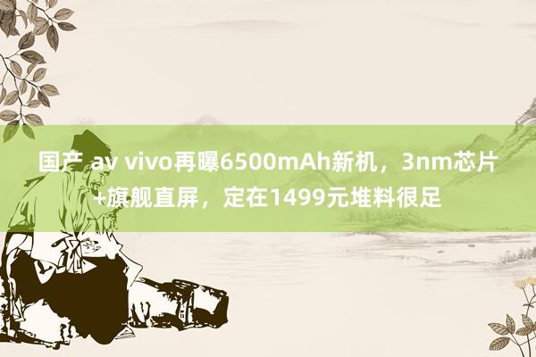 国产 av vivo再曝6500mAh新机，3nm芯片+旗舰直屏，定在1499元堆料很足