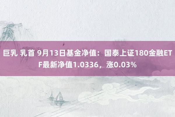 巨乳 乳首 9月13日基金净值：国泰上证180金融ETF最新净值1.0336，涨0.03%