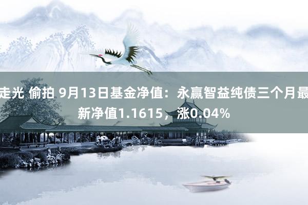 走光 偷拍 9月13日基金净值：永赢智益纯债三个月最新净值1.1615，涨0.04%