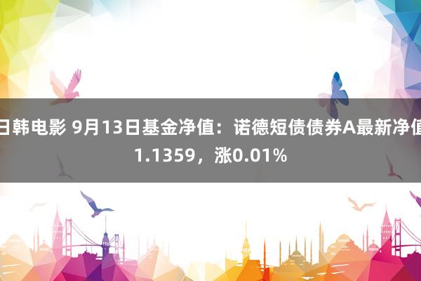 日韩电影 9月13日基金净值：诺德短债债券A最新净值1.1359，涨0.01%