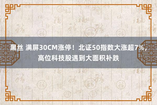 黑丝 满屏30CM涨停！北证50指数大涨超7%，高位科技股遇到大面积补跌