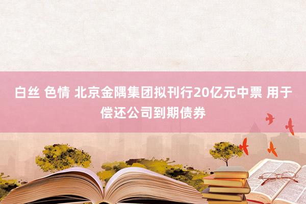 白丝 色情 北京金隅集团拟刊行20亿元中票 用于偿还公司到期债券