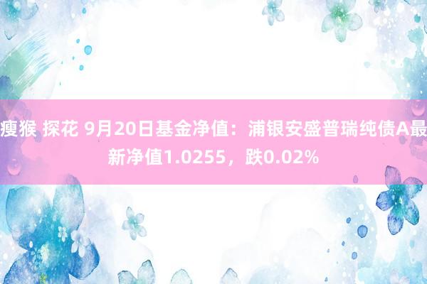 瘦猴 探花 9月20日基金净值：浦银安盛普瑞纯债A最新净值1.0255，跌0.02%