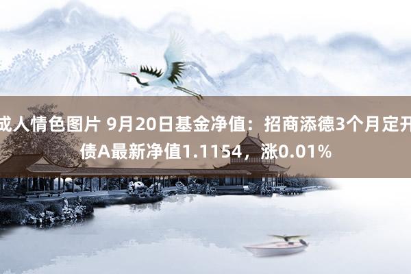 成人情色图片 9月20日基金净值：招商添德3个月定开债A最新净值1.1154，涨0.01%