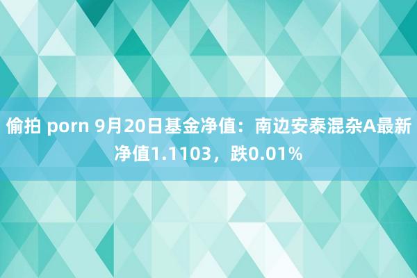 偷拍 porn 9月20日基金净值：南边安泰混杂A最新净值1.1103，跌0.01%