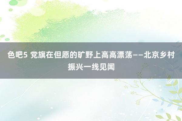 色吧5 党旗在但愿的旷野上高高漂荡——北京乡村振兴一线见闻