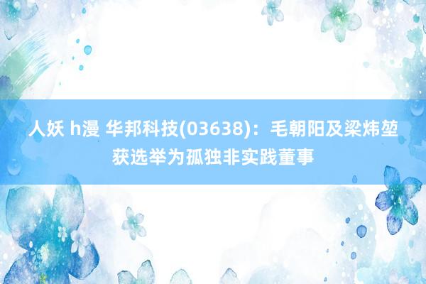 人妖 h漫 华邦科技(03638)：毛朝阳及梁炜堃获选举为孤独非实践董事