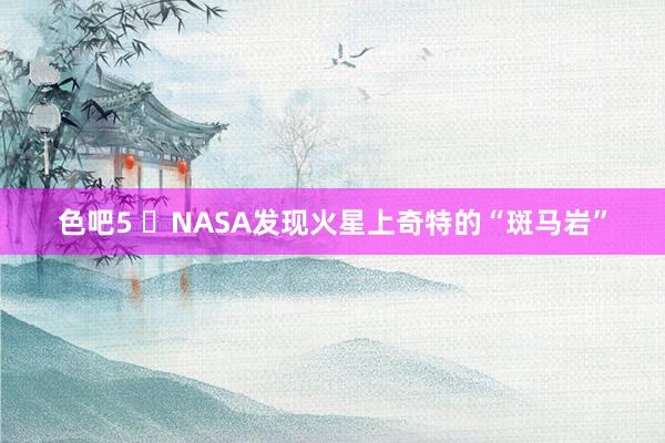 色吧5 ​NASA发现火星上奇特的“斑马岩”