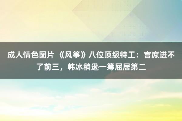 成人情色图片 《风筝》八位顶级特工：宫庶进不了前三，韩冰稍逊一筹屈居第二