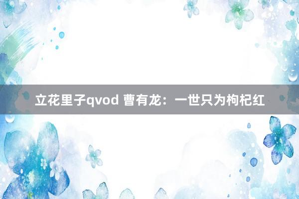 立花里子qvod 曹有龙：一世只为枸杞红