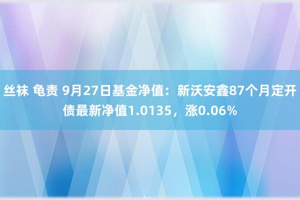 丝袜 龟责 9月27日基金净值：新沃安鑫87个月定开债最新净值1.0135，涨0.06%