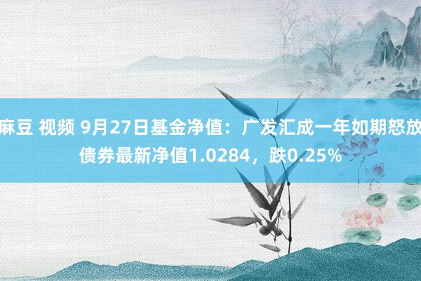 麻豆 视频 9月27日基金净值：广发汇成一年如期怒放债券最新净值1.0284，跌0.25%