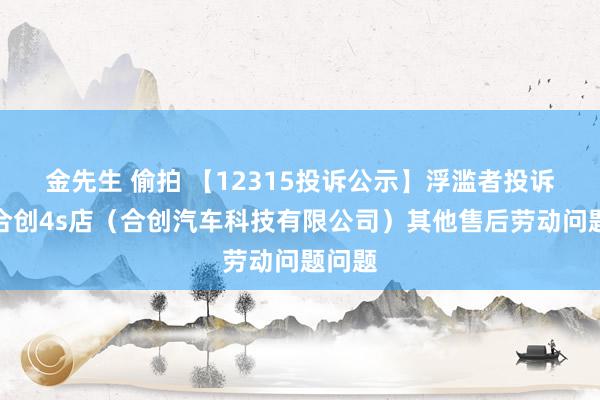 金先生 偷拍 【12315投诉公示】浮滥者投诉广汽合创4s店（合创汽车科技有限公司）其他售后劳动问题问题