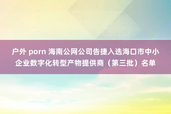 户外 porn 海南公网公司告捷入选海口市中小企业数字化转型产物提供商（第三批）名单