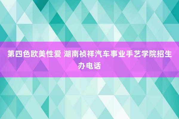 第四色欧美性爱 湖南祯祥汽车事业手艺学院招生办电话