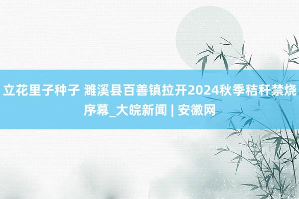 立花里子种子 濉溪县百善镇拉开2024秋季秸秆禁烧序幕_大皖新闻 | 安徽网