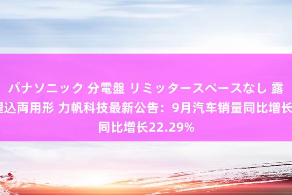 パナソニック 分電盤 リミッタースペースなし 露出・半埋込両用形 力帆科技最新公告：9月汽车销量同比增长22.29%