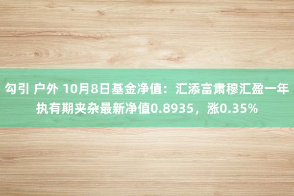 勾引 户外 10月8日基金净值：汇添富肃穆汇盈一年执有期夹杂最新净值0.8935，涨0.35%