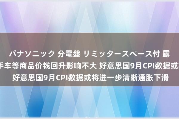 パナソニック 分電盤 リミッタースペース付 露出・半埋込両用形 二手车等商品价钱回升影响不大 好意思国9月CPI数据或将进一步清晰通胀下滑