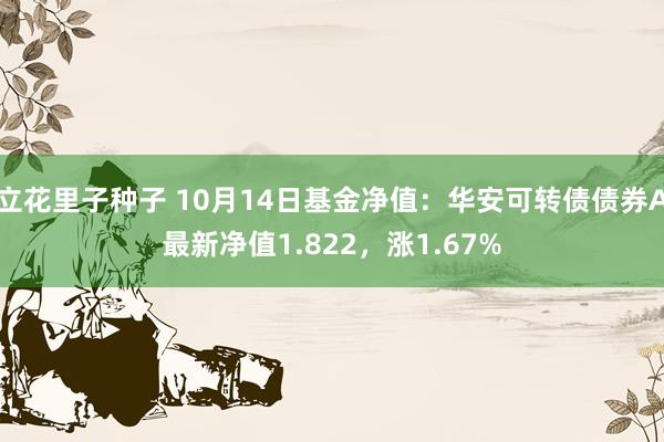 立花里子种子 10月14日基金净值：华安可转债债券A最新净值1.822，涨1.67%