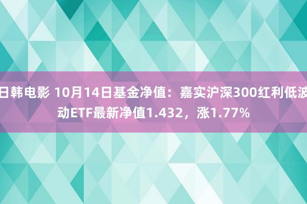 日韩电影 10月14日基金净值：嘉实沪深300红利低波动ETF最新净值1.432，涨1.77%