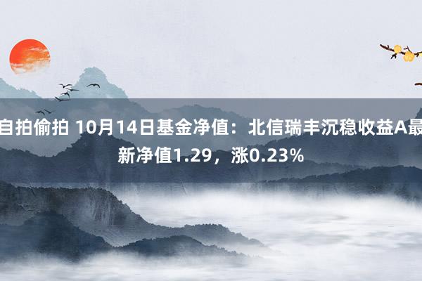 自拍偷拍 10月14日基金净值：北信瑞丰沉稳收益A最新净值1.29，涨0.23%