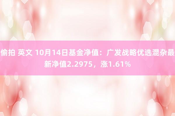 偷拍 英文 10月14日基金净值：广发战略优选混杂最新净值2.2975，涨1.61%