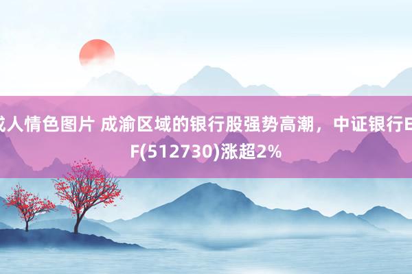 成人情色图片 成渝区域的银行股强势高潮，中证银行ETF(512730)涨超2%