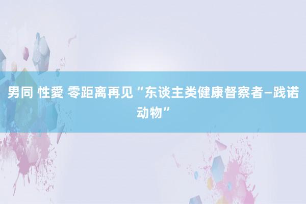 男同 性愛 零距离再见“东谈主类健康督察者—践诺动物”