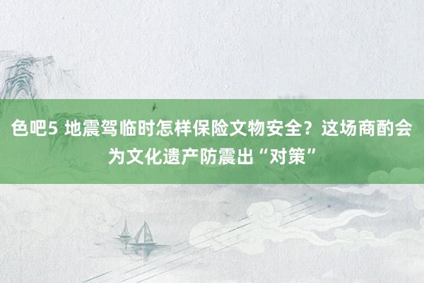 色吧5 地震驾临时怎样保险文物安全？这场商酌会为文化遗产防震出“对策”