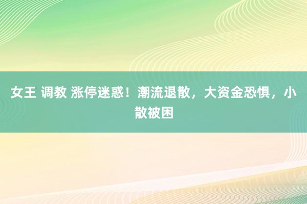 女王 调教 涨停迷惑！潮流退散，大资金恐惧，小散被困