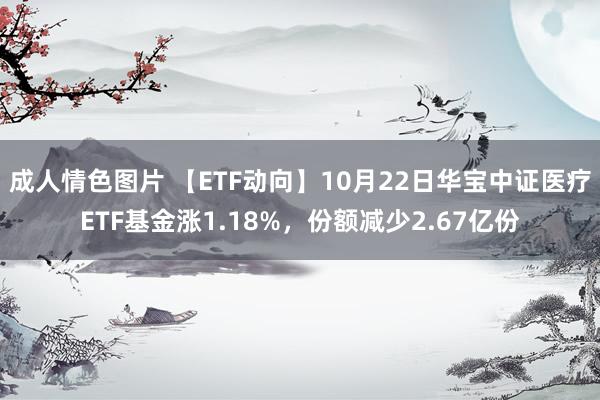 成人情色图片 【ETF动向】10月22日华宝中证医疗ETF基金涨1.18%，份额减少2.67亿份