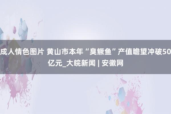 成人情色图片 黄山市本年“臭鳜鱼”产值瞻望冲破50亿元_大皖新闻 | 安徽网