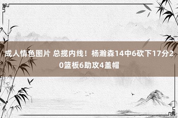 成人情色图片 总揽内线！杨瀚森14中6砍下17分20篮板6助攻4盖帽