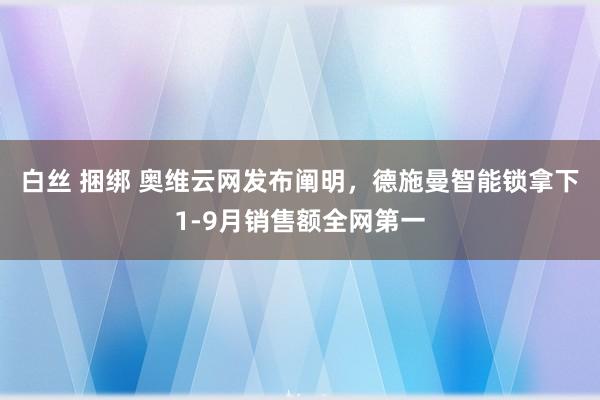 白丝 捆绑 奥维云网发布阐明，德施曼智能锁拿下1-9月销售额全网第一