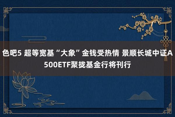 色吧5 超等宽基“大象”金钱受热情 景顺长城中证A500ETF聚拢基金行将刊行