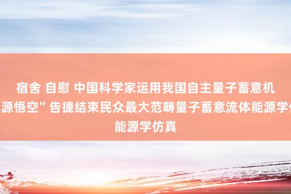 宿舍 自慰 中国科学家运用我国自主量子蓄意机“本源悟空”告捷结束民众最大范畴量子蓄意流体能源学仿真