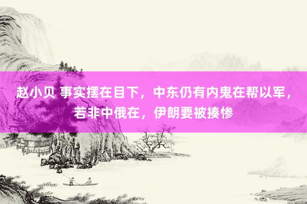 赵小贝 事实摆在目下，中东仍有内鬼在帮以军，若非中俄在，伊朗要被揍惨