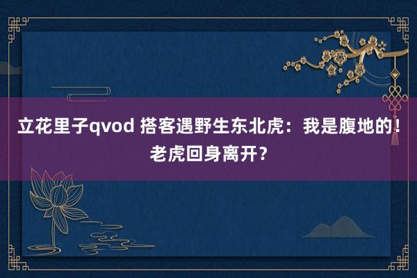 立花里子qvod 搭客遇野生东北虎：我是腹地的！老虎回身离开？