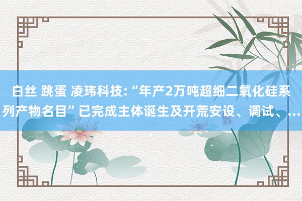 白丝 跳蛋 凌玮科技:“年产2万吨超细二氧化硅系列产物名目”已完成主体诞生及开荒安设、调试、...