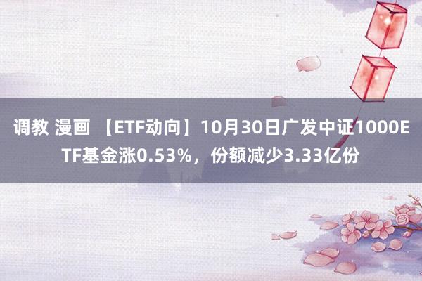 调教 漫画 【ETF动向】10月30日广发中证1000ETF基金涨0.53%，份额减少3.33亿份