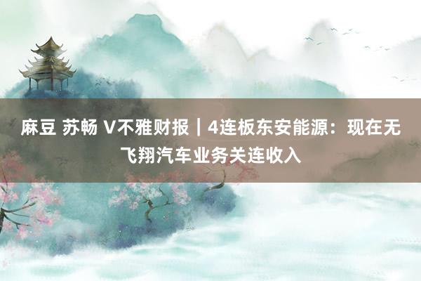 麻豆 苏畅 V不雅财报｜4连板东安能源：现在无飞翔汽车业务关连收入