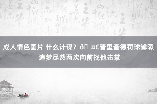 成人情色图片 什么计谋？🤣普里查德罚球罅隙 追梦尽然两次向前找他击掌