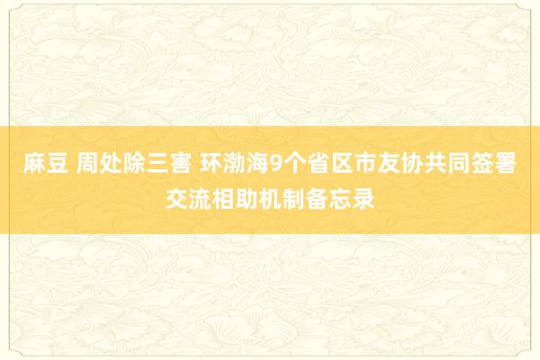 麻豆 周处除三害 环渤海9个省区市友协共同签署交流相助机制备忘录