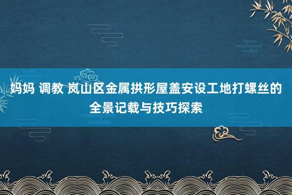 妈妈 调教 岚山区金属拱形屋盖安设工地打螺丝的全景记载与技巧探索