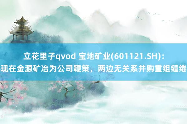 立花里子qvod 宝地矿业(601121.SH)：现在金源矿冶为公司鞭策，两边无关系并购重组缱绻