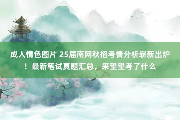 成人情色图片 25届南网秋招考情分析崭新出炉！最新笔试真题汇总，来望望考了什么